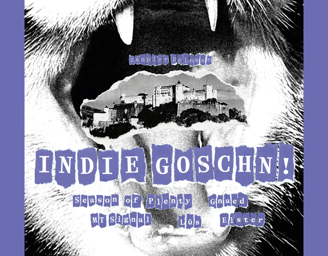 Indie Goschn! – Sampler Release Konzert